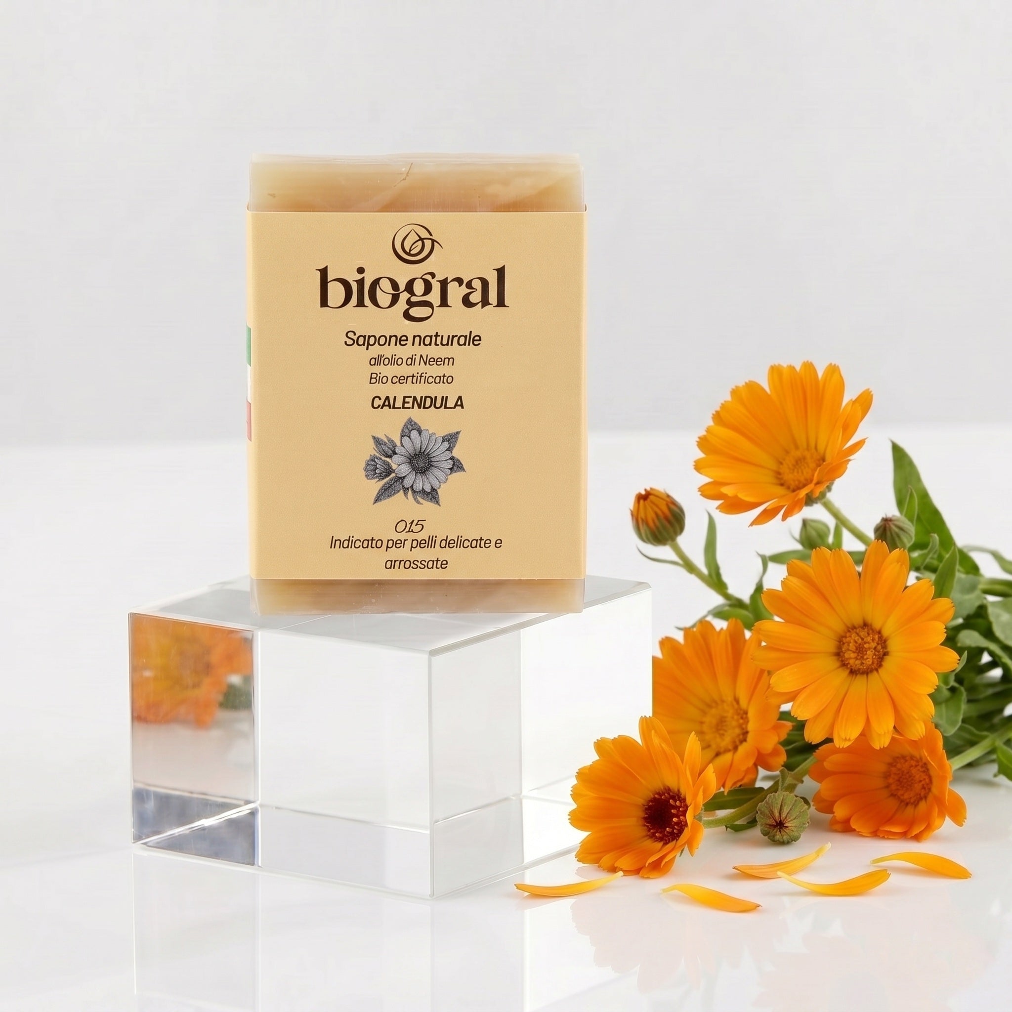Saponetta Calendula (100 gr)