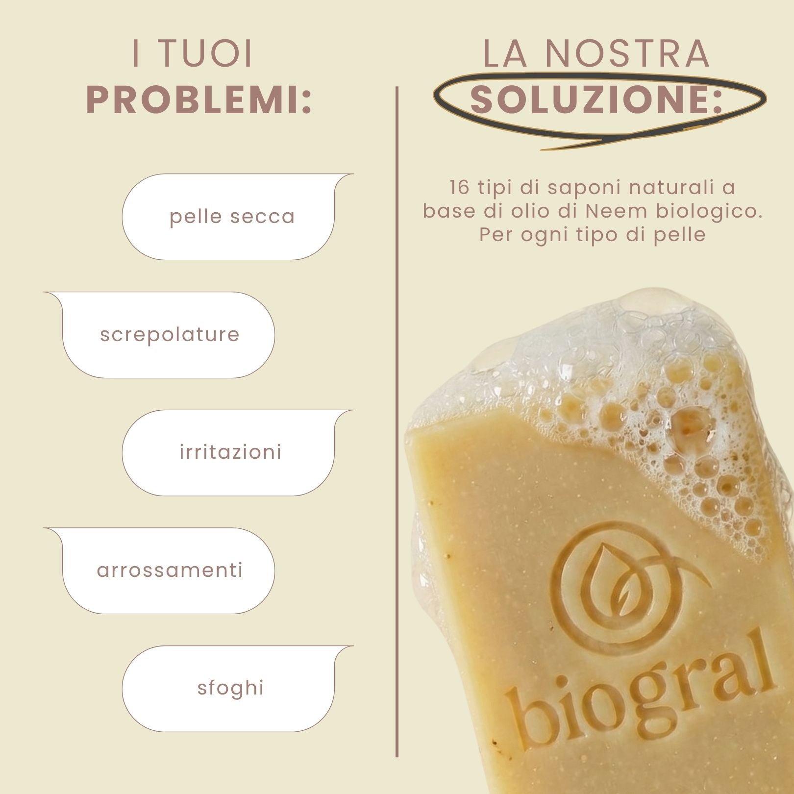 Kit 12 Saponette all'Olio di Neem Biologico