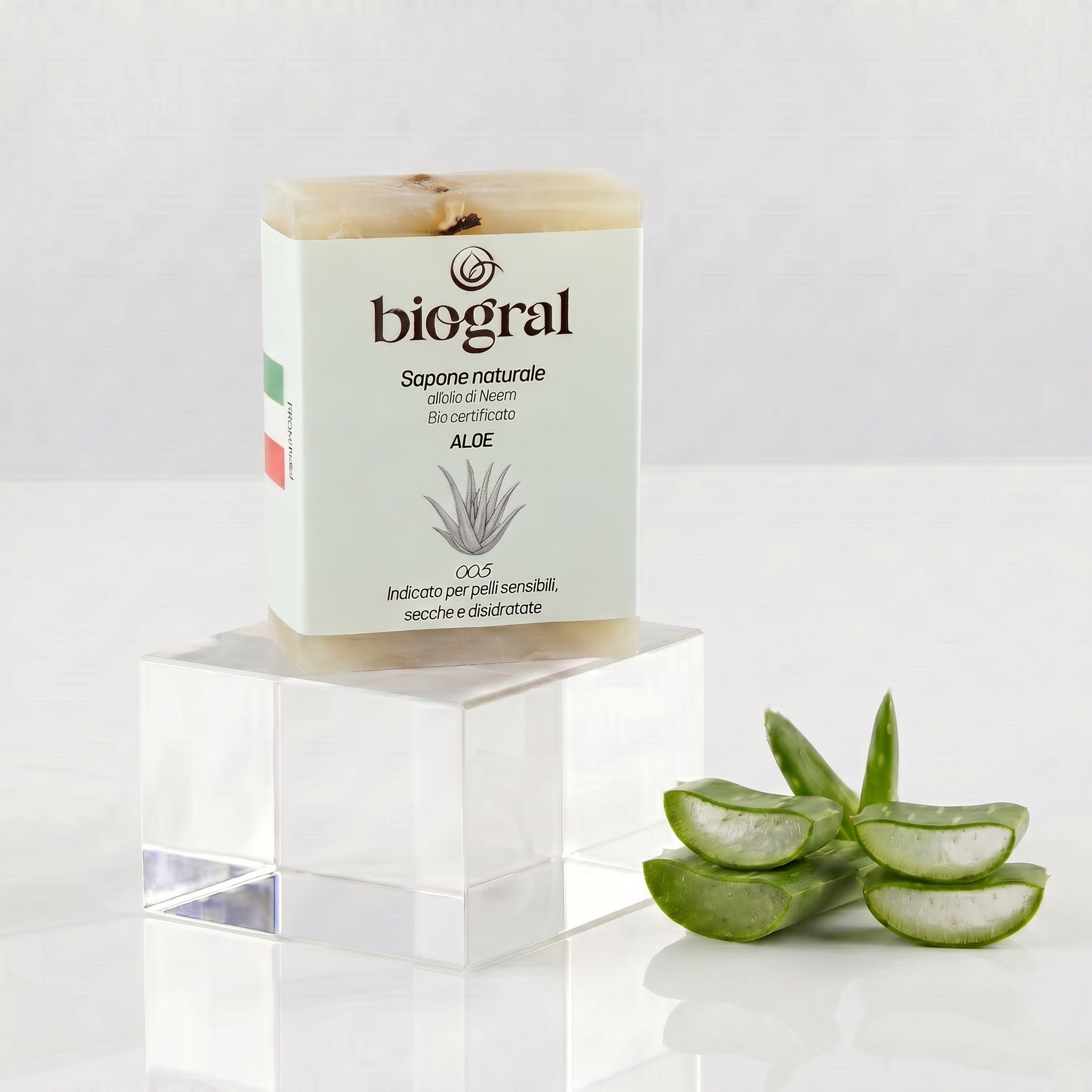 Saponetta Aloe (100 gr)